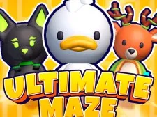 Ultimate maze! Collect them all!